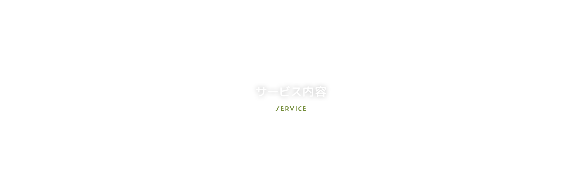 サービス内容
