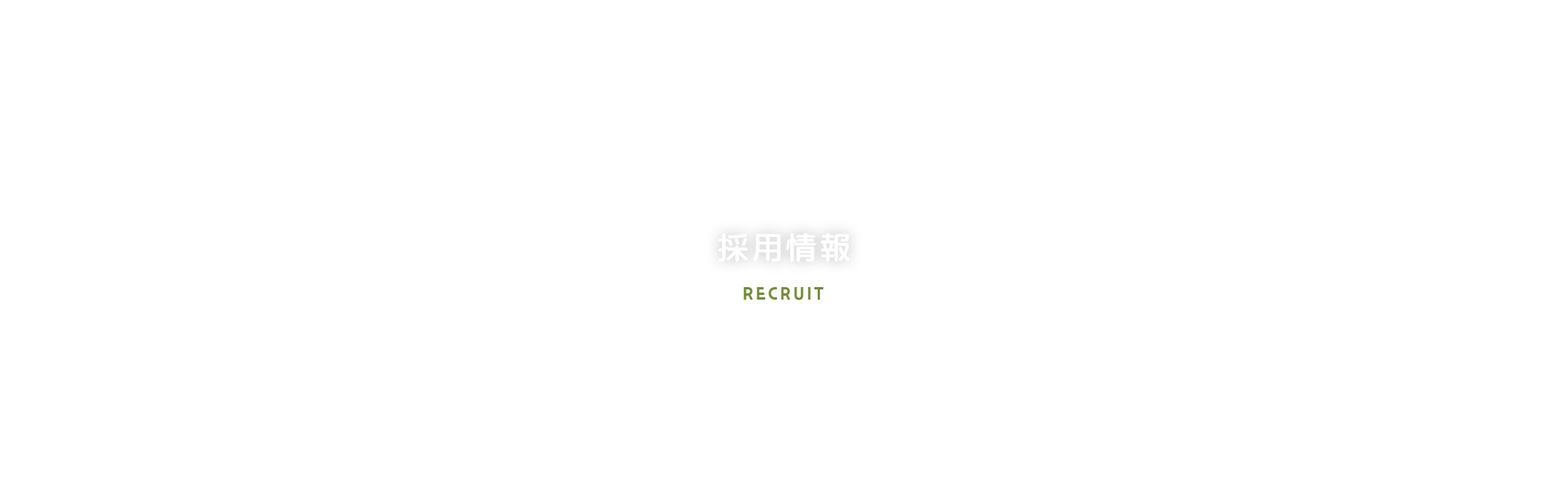 採用情報